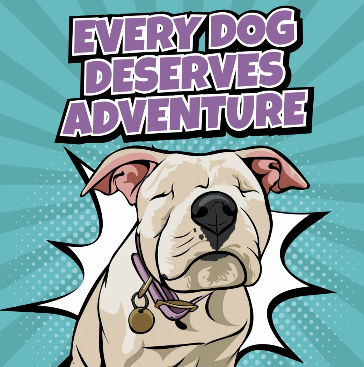 @Gus___calhoun: Gus – Rescue Tale